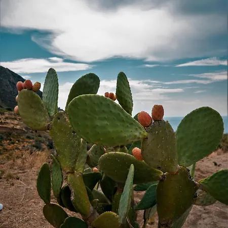 La Casa Blu Superior 别墅 *