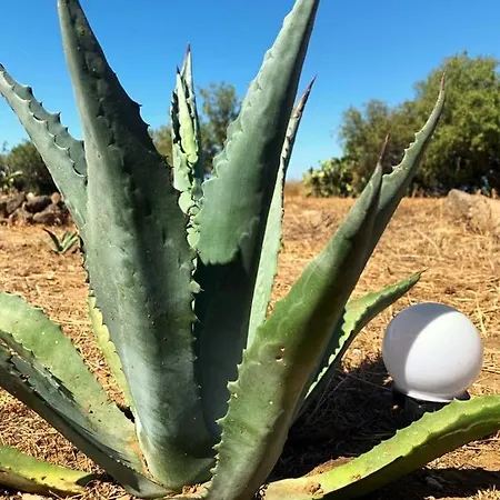 别墅 La Casa Blu Superior *