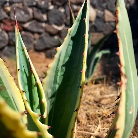 La Casa Blu Superior * 利帕里