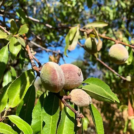 别墅 La Casa Blu Superior