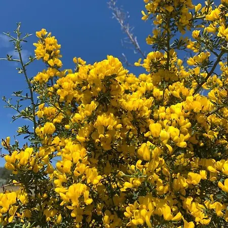 La Casa Blu Superior Vila *