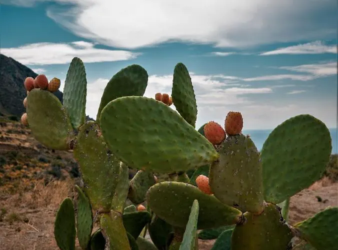 La Casa Blu Superior Vila *