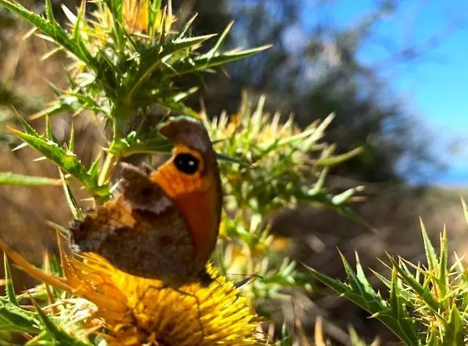 La Casa Blu Superior 빌라