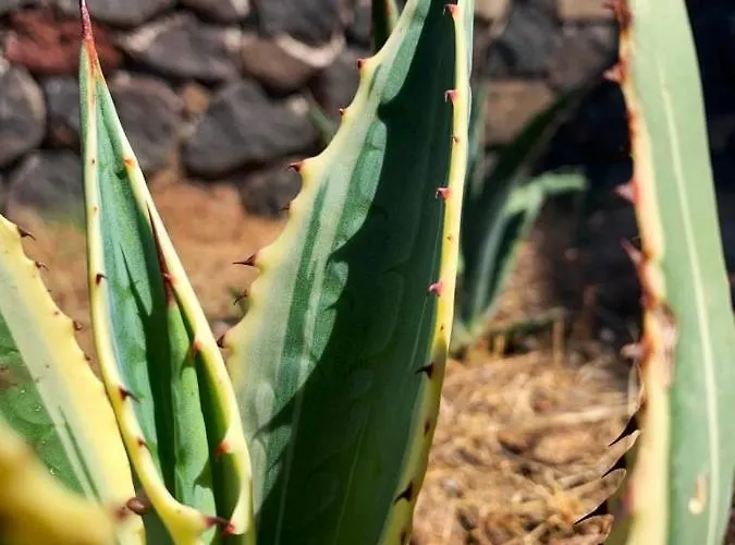 La Casa Blu Superior * 리파리