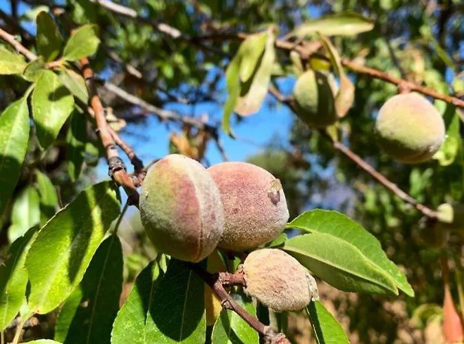 Vila La Casa Blu Superior
