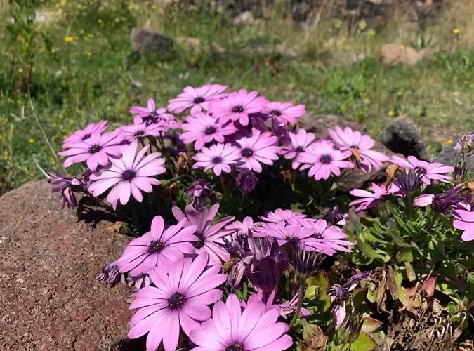 La Casa Blu Superior Lipari (Isola Lipari)
