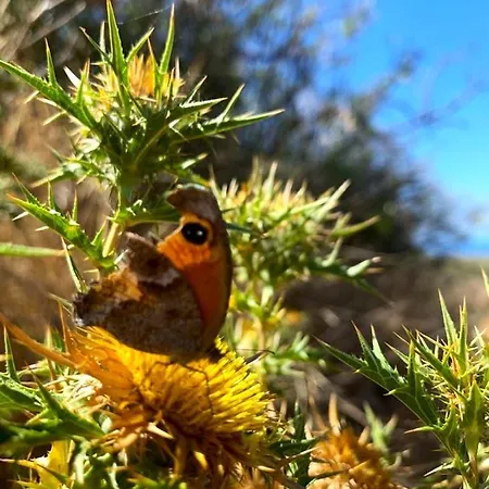 La Casa Blu Superior Villa