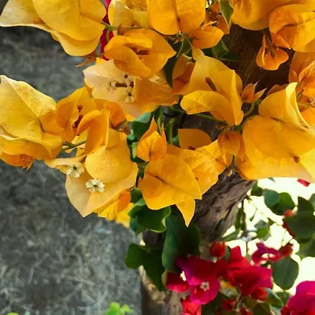 Villa La Casa Blu Superior