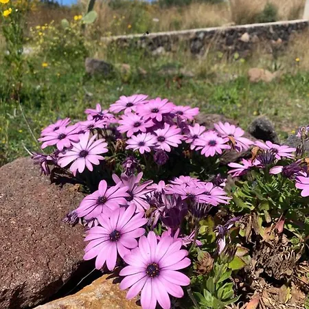 La Casa Blu Superior Lípara