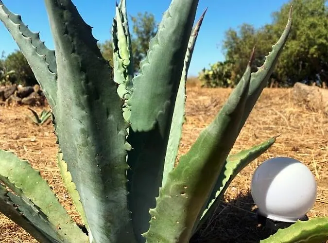 ヴィラ La Casa Blu Superior *