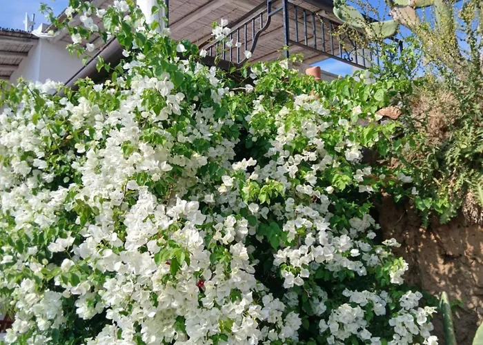 La Casa Blu Superior * Lipari (Isola Lipari)